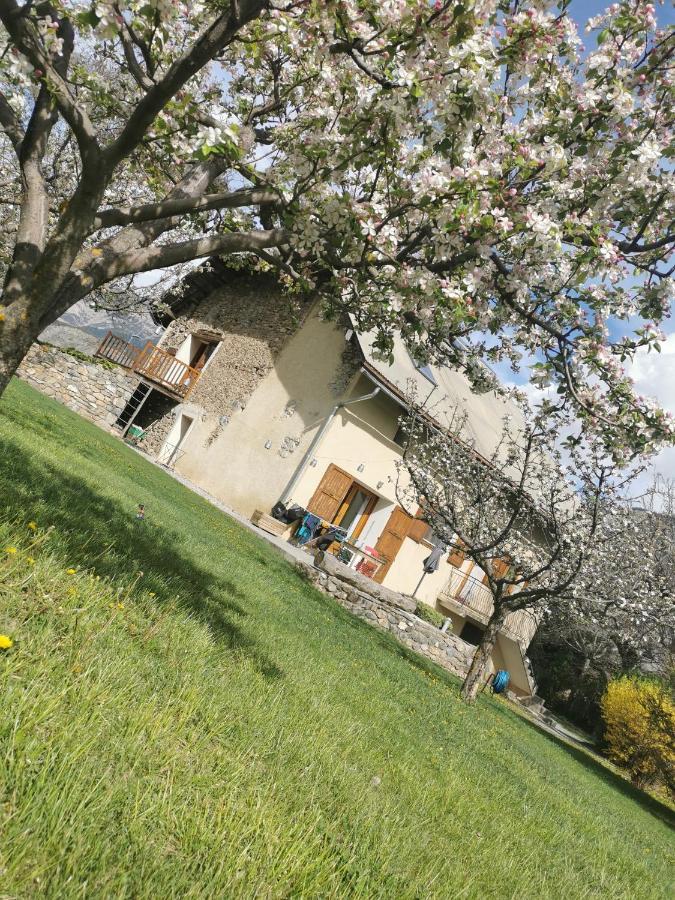 Chambres D'Hotes Les Peschiers 沙托鲁 外观 照片